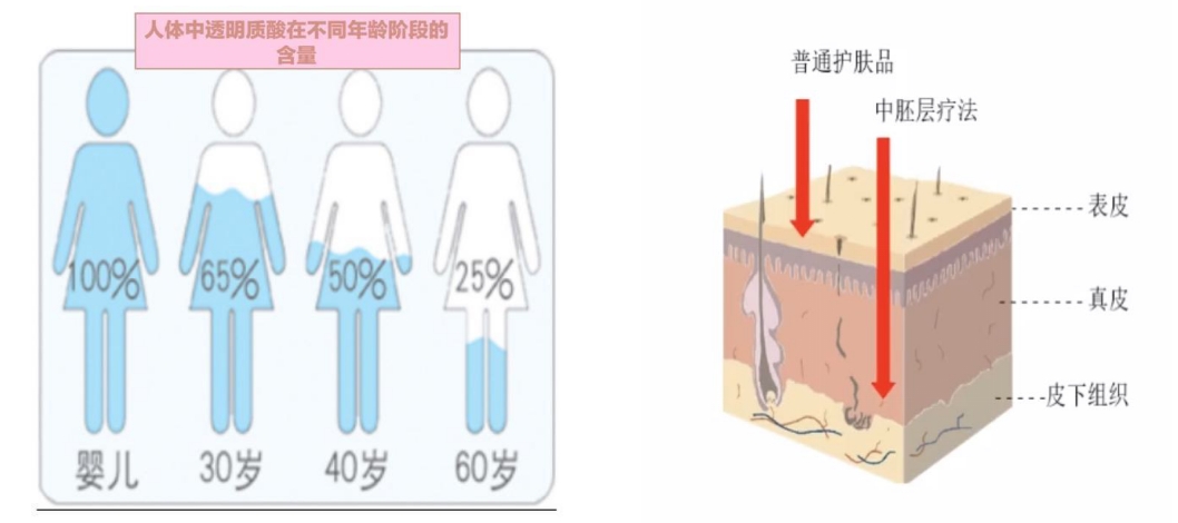 微信截图_20240306082755