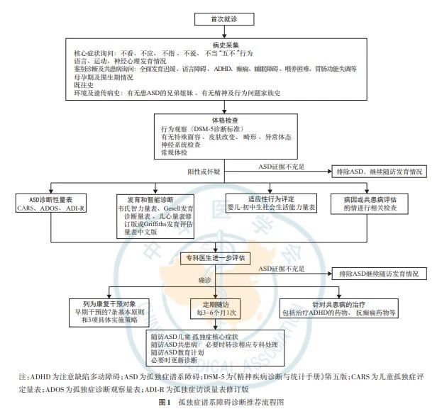 图片12